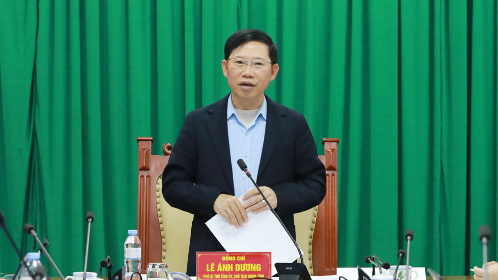 Đồng chí Lê Ánh Dương phát biểu kết luận.